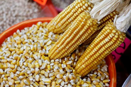 Ảnh minh họa. (Ảnh: Reuters)