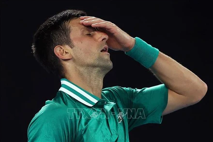 Tay vợt người Serbia Novak Djokovic. (Ảnh: AFP/TTXVN)