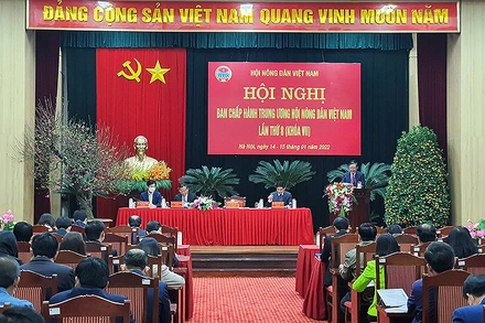 Toàn cảnh phiên khai mạc Hội nghị.