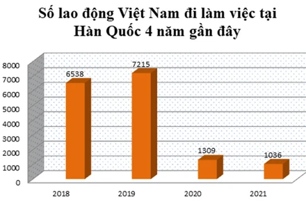 Năm 2022: Hàn Quốc tiếp nhận 59.000 lao động nước ngoài theo chương trình EPS