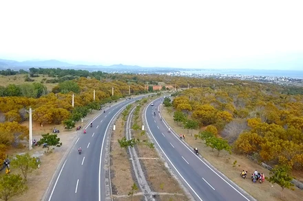 Tuyến đường Hòa Thắng-Hòa Phú, thuộc Khu du lịch quốc gia Mũi Né đã trở thành điểm check-in lý tưởng cho du khách và các bạn trẻ đến với Bình Thuận.