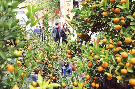 Chợ xuân phố cổ ngày giáp Tết Nguyên đán Nhâm Dần 2022. (Ảnh minh họa: Đăng Duy)