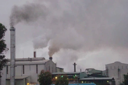 Xử lý nghiêm hành vi gây ô nhiễm môi trường. (Ảnh: chinhphu.vn)