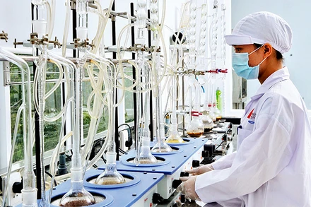 Người lao động ở Công ty cổ phần Phúc Sinh, TP Hồ Chí Minh. (Ảnh minh họa: Phương Vy)