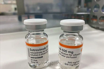 Thuốc Sotrovimab điều trị bệnh nhân Covid-19 do Công ty dược GlaxoSmithKline phối hợp Công ty công nghệ sinh học Vir Biotechnology của Mỹ nghiên cứu và phát triển. (Ảnh: The National/TTXVN)