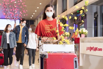 Vietjet vận chuyển mai, đào dịp Tết Nguyên đán