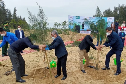 Các đại biểu tiến hành trồng 5.000 cây phi lao và 1.500 cây sao đen phòng hộ ven biển tại xã Quỳnh Liên.