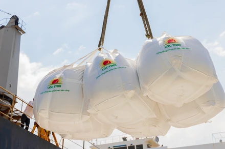 Giá gạo xuất khẩu của Việt Nam đang ở mức tương đối cao.