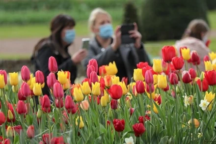 Du khách tại Triển lãm hoa quốc tế ở Brussels, Bỉ. (Ảnh: THX/TTXVN)