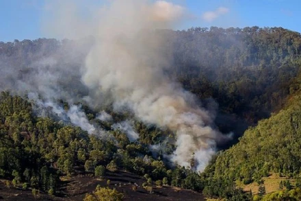 Cháy rừng và biến đổi khí hậu có mối tương quan chặt chẽ với nhau. (Ảnh: UNEP)