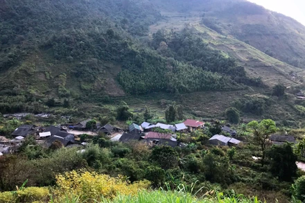 Xanh ngát màu Pu Ta Leng