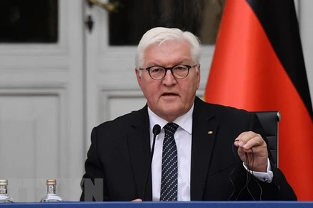 Tổng thống Frank-Walter Steinmeier. (Ảnh: AFP/TTXVN)