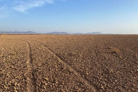 Hình ảnh 1 cánh đồng khô cạn ở Marrakech, Maroc, ngày 12/2/2022. (Ảnh: Reuters)