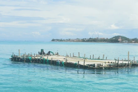 Người dân Lý Sơn khai thác cát giữa biển để phục vụ sản xuất nông nghiệp.