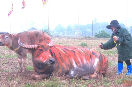 Họa sĩ tham gia vẽ trang trí trâu tại Lễ hội Tịch điền Đọi Sơn.