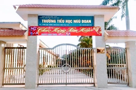 Chấm dứt hợp đồng với giáo viên Trường tiểu học Ngũ Đoan (Hải Phòng)