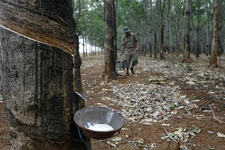 Ảnh minh họa. (Nguồn: Reuters)