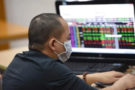 (Ảnh minh họa: TTXVN)