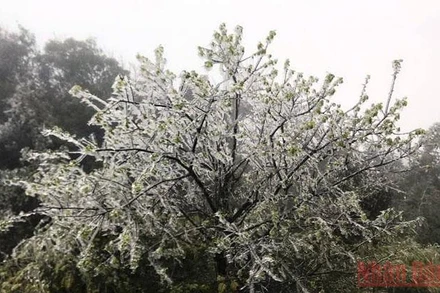 Băng tuyết xuất hiện trên khu vực cáp treo, ở đỉnh Phan Xi Păng, thị xã Sa Pa (Lào Cai).