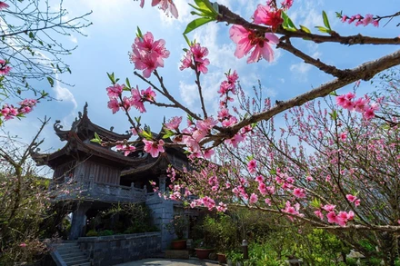 Fansipan: Điểm đến cho mùa cầu an