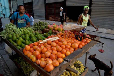 (Người dân bán rau quả trên đường phố tại La Habana, Cuba. Ảnh: AFP/TTXVN)