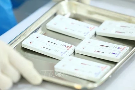 Ảnh minh họa. (Nguồn: TTXVN)