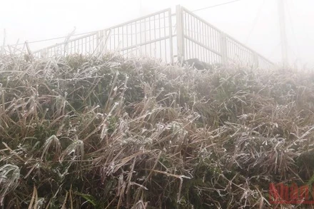 Hình ảnh băng tuyết trên khu du lịch Mẫu Sơn.