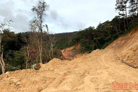 Đơn vị thi công tự ý mở đường Trường Sơn Đông đoạn đi qua Vườn quốc gia Bidoup-Núi Bà.
