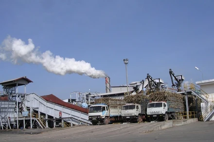 Công ty Cổ phần Thành Thành Công-Biên Hòa. (Ảnh: ttcsugar.com.vn)