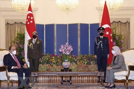 Chủ tịch nước Nguyễn Xuân Phúc hội đàm với Tổng thống Cộng hòa Singapore Halimah Yacob. (Ảnh: TTXVN)