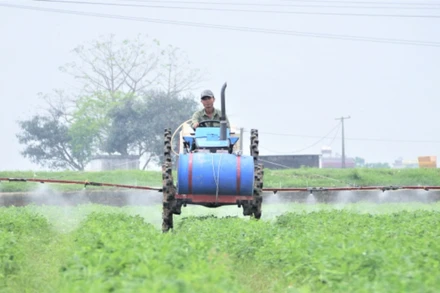 Mục tiêu Chiến lược phát triển nông nghiệp và nông thôn bền vững giai đoạn 2021-2030, tầm nhìn đến năm 2050 là phấn đấu đưa Việt Nam trở thành một trong những nước có nền nông nghiệp hàng đầu thế giới. (Ảnh: PH)