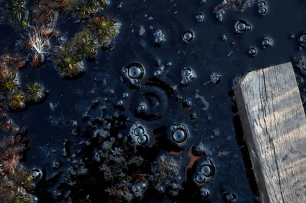 Bong bóng khí methane được nhìn thấy trong một khu vực đầm lầy tại một điểm nghiên cứu ở Stordalen Mire gần Abisko, Thụy Điển, ngày 1/8/2019. (Ảnh: Reuters)