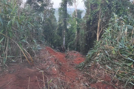 Hiện trường xảy ra tai nạn. (Ảnh do Ban An toàn giao thông tỉnh Gia Lai cung cấp)