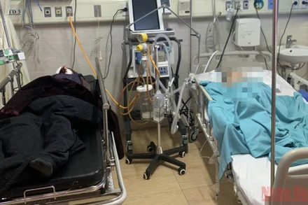 Người cao tuổi nhập viện vì những bệnh lý đột quỵ, viêm phổi do trời lạnh. (Ảnh: H.T) 