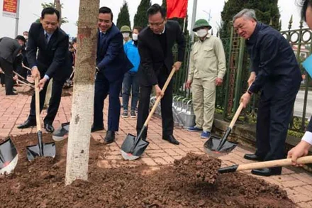 Đồng chí Nguyễn Hòa Bình, Ủy viên Bộ Chính trị, Bí thư Trung ương Đảng, Chánh án Tòa án nhân dân tối cao cùng lãnh đạo tỉnh Hưng Yên trồng cây trên tuyến đường Triệu Quang Phục, thành Phố Hưng Yên, tỉnh Hưng Yên.