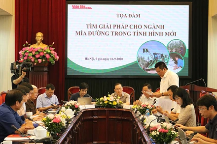 Tọa đàm trực tuyến “Tìm giải pháp cho ngành mía đường trong tình hình mới”