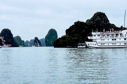 Tàu du lịch trên biển Cát Bà.