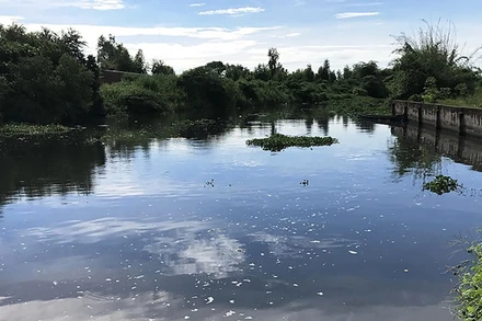 Một trong những dòng kênh tại khu công nghiệp bị ô nhiễm, gây mùi hôi thối.