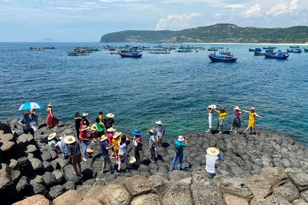Di tích thắng cảnh quốc gia Gành Đá Đĩa, xã An Ninh Đông, huyện Tuy An, Phú Yên.