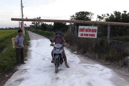 Chốt kiểm dịch bệnh tả lợn châu phi tại xã Phú Phúc, huyện Lý Nhân.