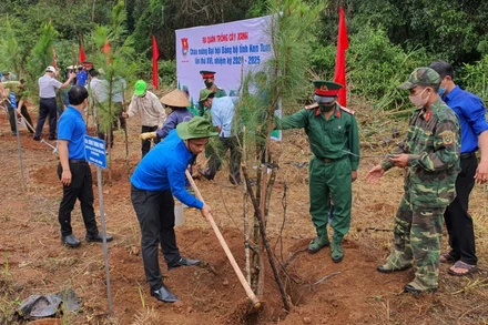 Các đại biểu trồng cây thông ba lá tại khu vực ngã ba thị trấn Măng Đen, huyện Kon Plông, tỉnh Kon Tum. 