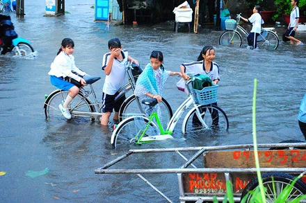 Mưa âm ỉ, Cà Mau bì bõm trong nước