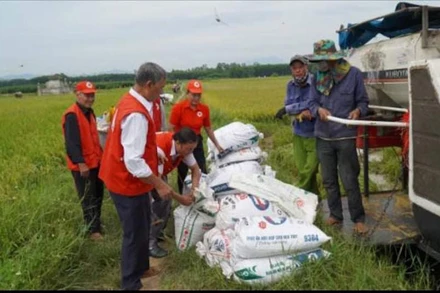 Hội Chữ thập đỏ các cấp chuẩn bị phương án ứng phó với mưa lũ, sẵn sàng hỗ trợ người dân bị thiệt hại. ( Ảnh: T.Ư Hội CTĐ Việt Nam cung cấp)