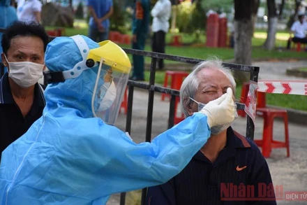 Đà Nẵng tiến hành xét nghiệm đại diện hộ gia đình trên toàn thành phố. (Ảnh: ANH ĐÀO) 