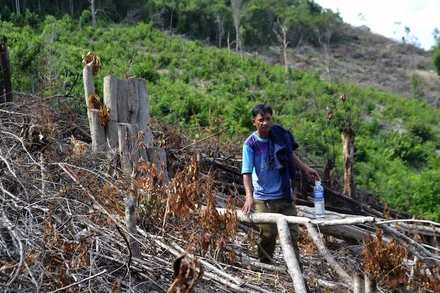 Hiện trường tại một số vị trí rừng tại xã Phú Mỡ bị người dân lấn chiếm lấy đất sản xuất.