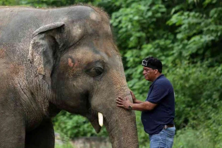 Bác sĩ thú y Amir Khalil dụ dỗ Kaavan tại Vườn thú Islamabad. Ảnh: Reuters.