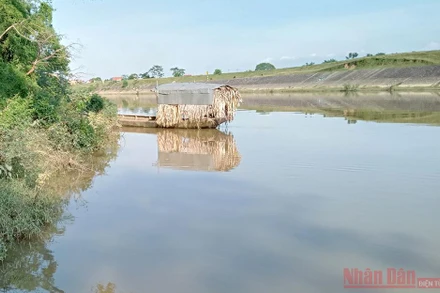 Do sạt lở, sông Cầu ngày càng tiến sát nhiều nhà dân xã Tân Phú. 