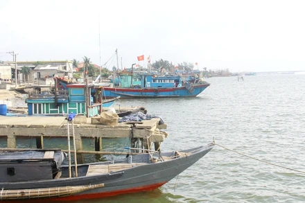 Nhiều tàu thuyền của huyện Gio Linh về trú bão an toàn.