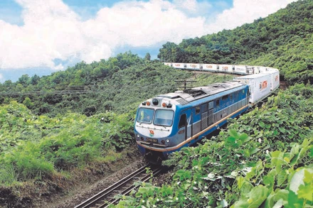 Tàu hàng conntainer lạnh 58 giờ