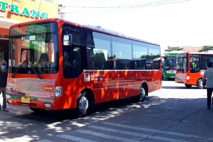 Năm tuyến xe buýt chất lượng cao Phương Trang hoạt động nội tỉnh tại Thừa Thiên Huế với tầng suất hoạt động 234 lượt xe/ngày. 